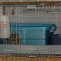 2008-06-24_16-26-43_001b.jpg