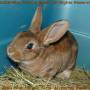 2009-03-14_10-19-24_001.jpg