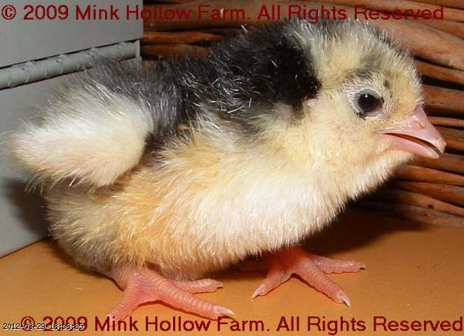 080410- 2008-04-10 016.jpg