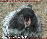 cb-2008-07-30 005.jpg