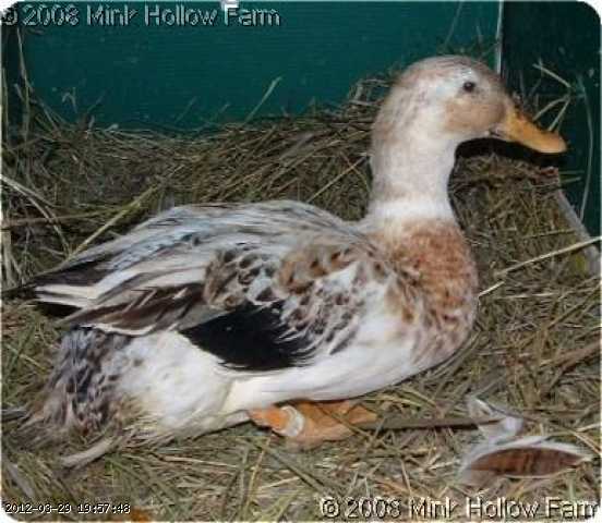 05-11-peggy-3_w.jpg
