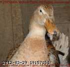 08040507.jpg