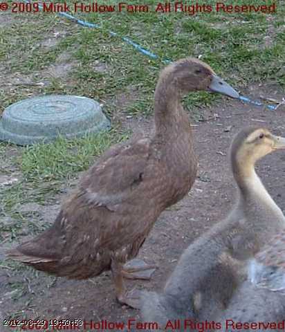 2008-05-30 040.jpg