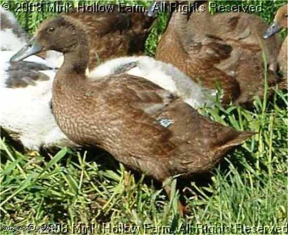 2008-06-08 035-kc.JPG