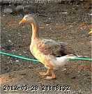 august 078.jpg