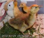 babies-04-05-01 010_w.jpg