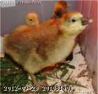 babies-04-05-01 020_w.jpg