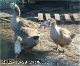 sm-pg-04-01-11-3_w.jpg