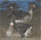 sm-pg-04-01-13-4_w.jpg