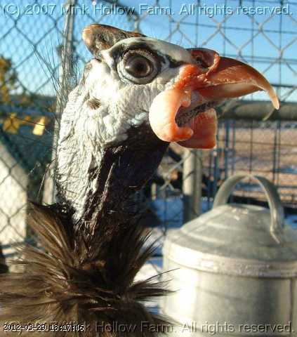 dec 046.jpg
