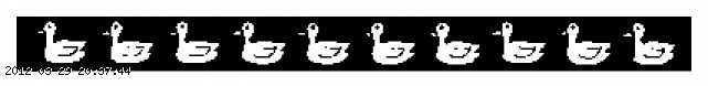 duck-border.gif
