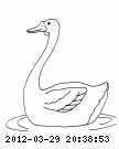 swan-swim.gif