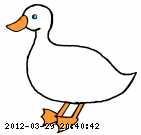 duck.gif