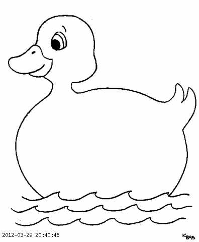 duckbg-2.gif