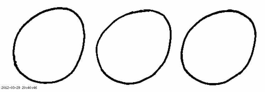 eggs-7.gif