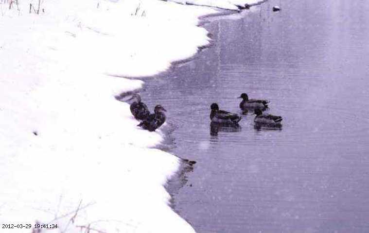 winter.jpg