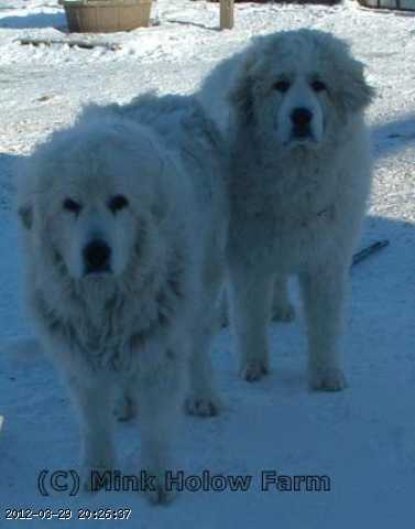 2006-12-dec 025c.jpg