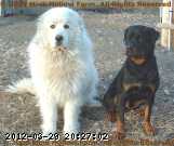 2009-03-18_19-19-05_001.jpg
