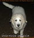 2005-10-06_19-12-24_001.jpg