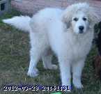 2005-10-oct 051c.jpg