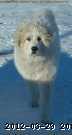 2005-12-06_23-05-43_001.jpg