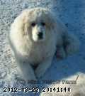 2005-12-dec 022c.jpg