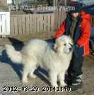 2005-12-dec 123c.jpg