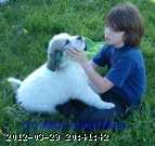 2005-puppy3c.jpg