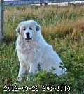 2006-08-aug011_edited.jpg