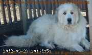 2007-09-09_16-45-07_001.jpg