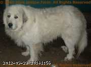 2007-09-10_20-31-17_001.jpg