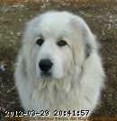 2007-10-17_00-26-31_001.jpg