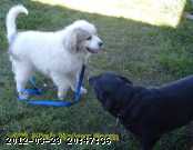 2005-sept 025c.jpg