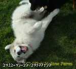 2005-sept 044c.jpg
