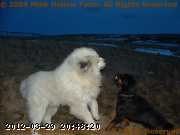 2009-03-13_19-50-04_001.jpg