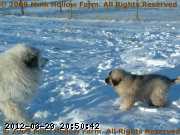 2009-03-27-020.JPG