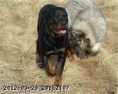 2009-05-09_17-48-44_287.jpg