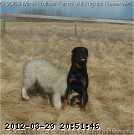 2009-05-09_17-49-28_294.jpg