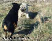 2009-05-23_09-18-55_315.jpg