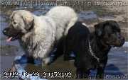 2009-08-21_12-31-57b.jpg