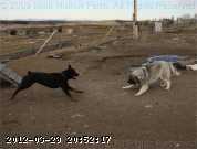 2009-11-05_10-33-43_002.jpg