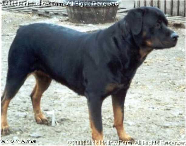 2004-pixel-2.jpg