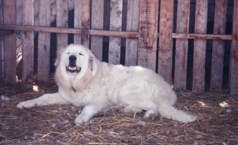 1997-07-002d.jpg