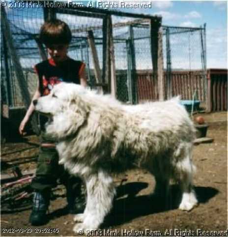 scanner-max-26-05-02.jpg