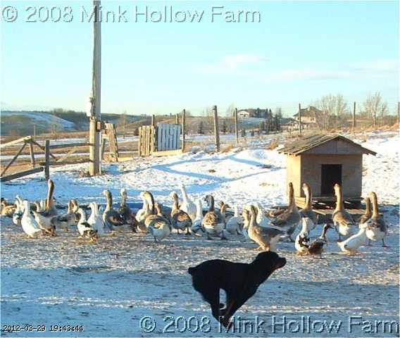 07-12-12-04-w.JPG