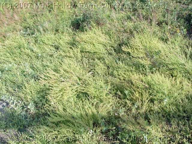 06-july039_edited.jpg