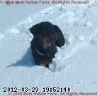 2008-05-09 145b.JPG