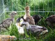 07-07-091_wm.jpg 07-07-091_wm.jpg