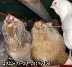 08-01-12-023.jpg