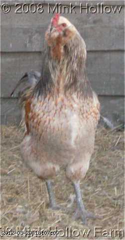 08-01-12-04-w.JPG